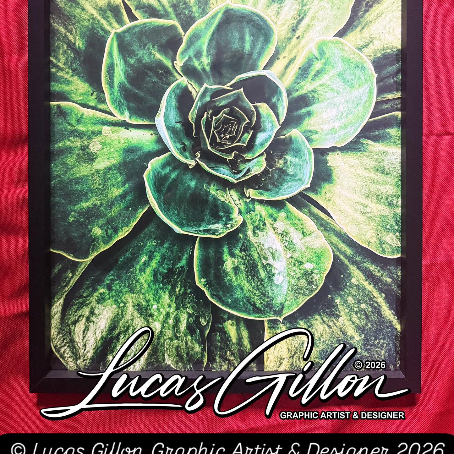A2 Framed "Green Burst" Macro Photography by Artist and Designer Lucas Gillon - incomplete