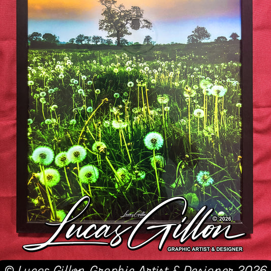 A2 Framed "Dandelion Fields" Nature Photography by Artist and Designer Lucas Gillon - incomplete