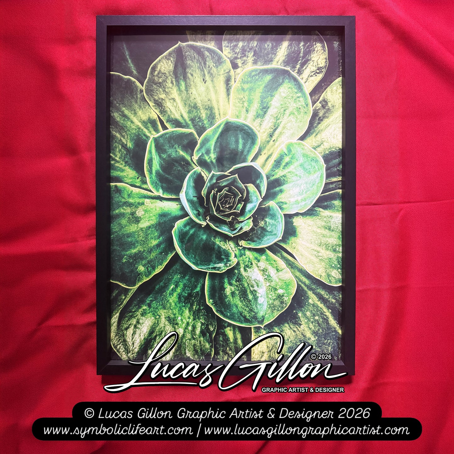 A2 Framed "Green Burst" Macro Photography by Artist and Designer Lucas Gillon - incomplete